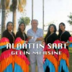 Alaattin Sarı müzikleri