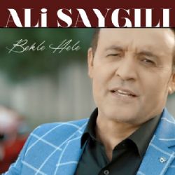 Ali Saygılı müzikleri