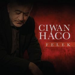 Ciwan Haco müzikleri