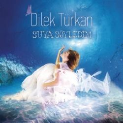 Dilek Türkan müzikleri