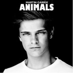 Martin Garrix müzikleri