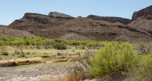 Бесплатный вход в государственные парки Техаса 2 ноября