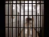 Четвертой заключенный умер в системе тюрем Массачусетса за месяц